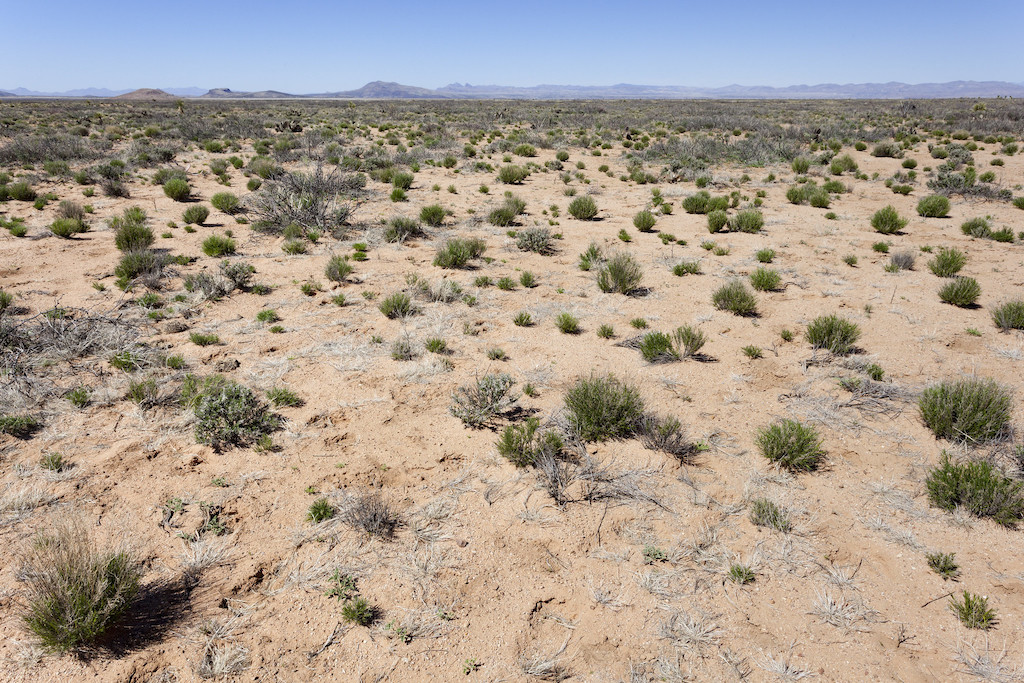 New lithium from geothermal brine project to kick off in New Mexico, U ...