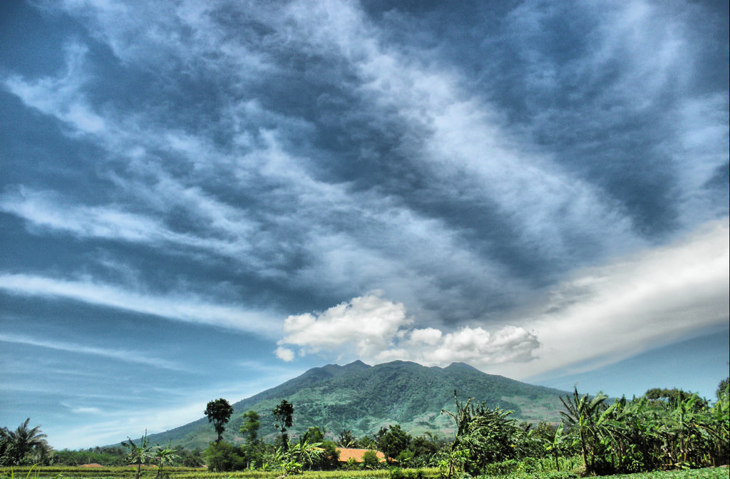 Indonesia berencana menetapkan tolok ukur pengembangan panas bumi Tanzania