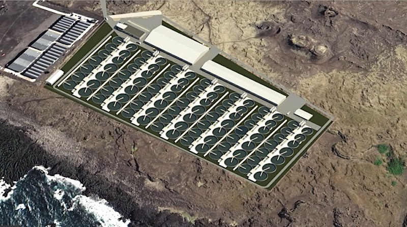 Large-scale salmon farming operations to tap geothermal