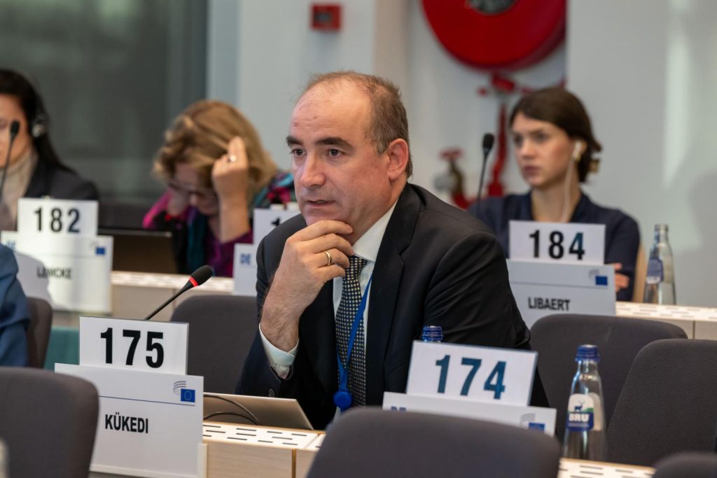 EESC asserts geothermal’s key role in Europe’s green transition