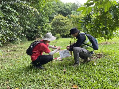 Passive seismic study indicates potential geothermal reservoir in Yishun, Singapore